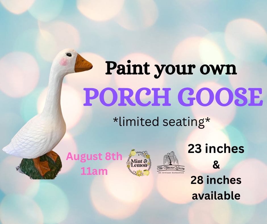 Concrete Porch Goose Painting Workshop🪿